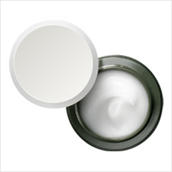 > </div>
<div class=